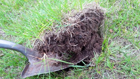 Best Time To Water Grass Lawn Watering Tips Best Time To Water Grass Lawn Watering Tips