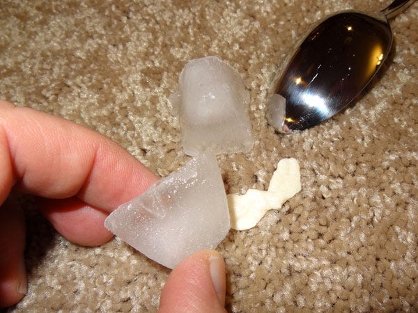 Freeze-Dried Gum