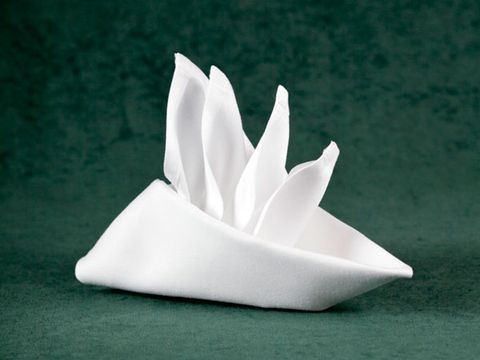 A Napkin in the Shape of a Bird of Paradise