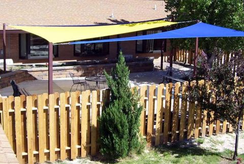 Backyard shade options