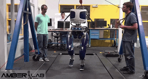 robot sneaker head