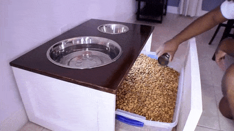 DIY Elevated Dog Bowl Station With Extra Food Storage