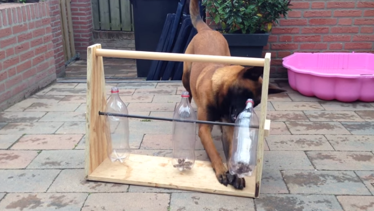 DIY Dog Treat Dispenser Toy