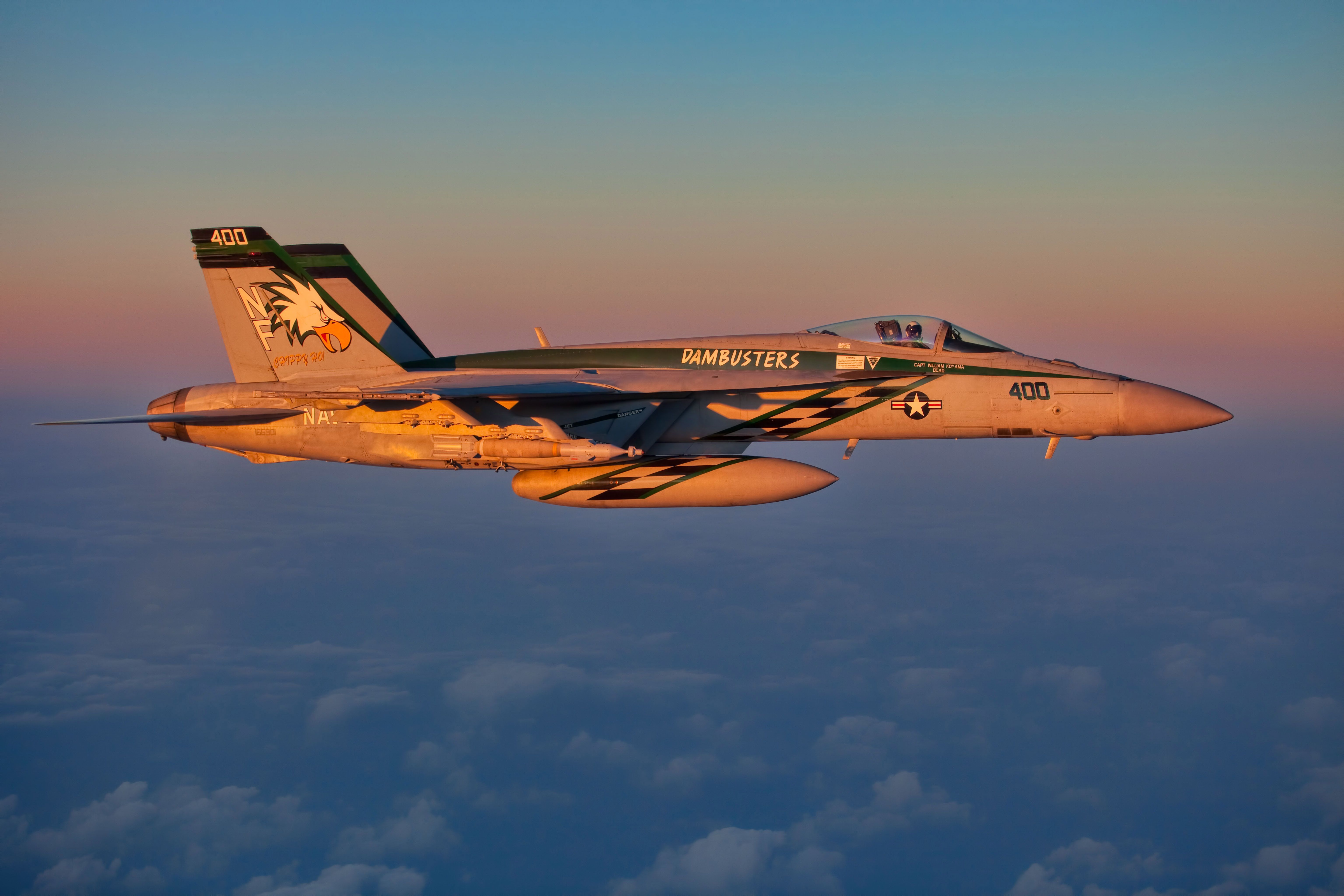 Lodge lidenskabelig sværge F-18 Super Hornet | Why the F/A-18 Is Such a Badass Plane