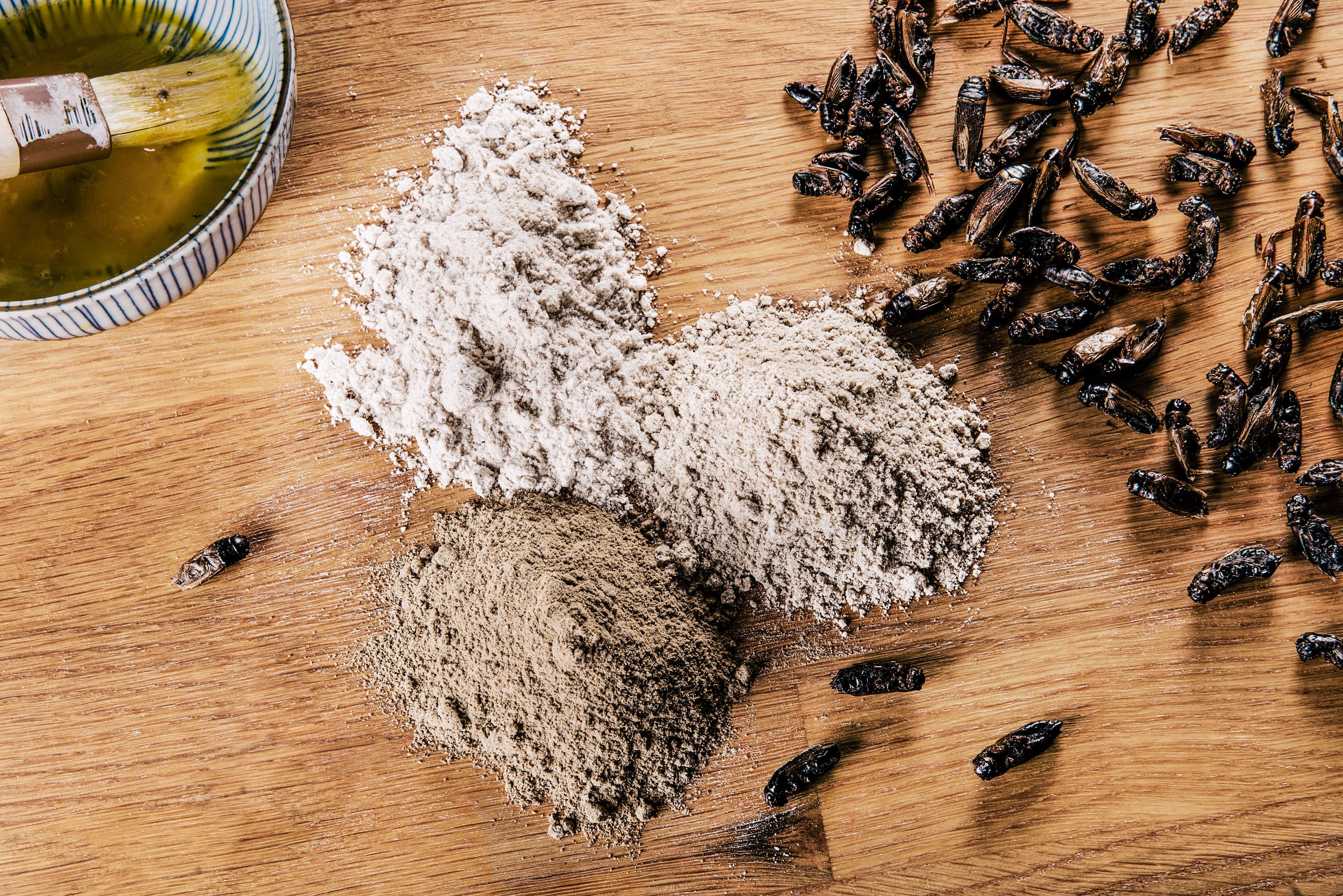 Cooking With Crickets Will Save the World. Here's How To Do It.