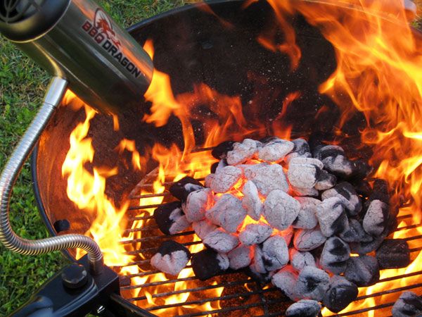 Grillbot review: The best thing to happen to barbecues since fire