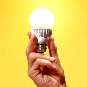 Everything You Need to Know About LED Light Bulbs