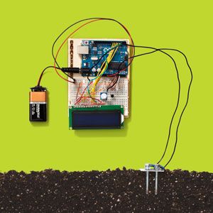 How to Use a Soil Moisture Sensor to Keep Your Plants Alive