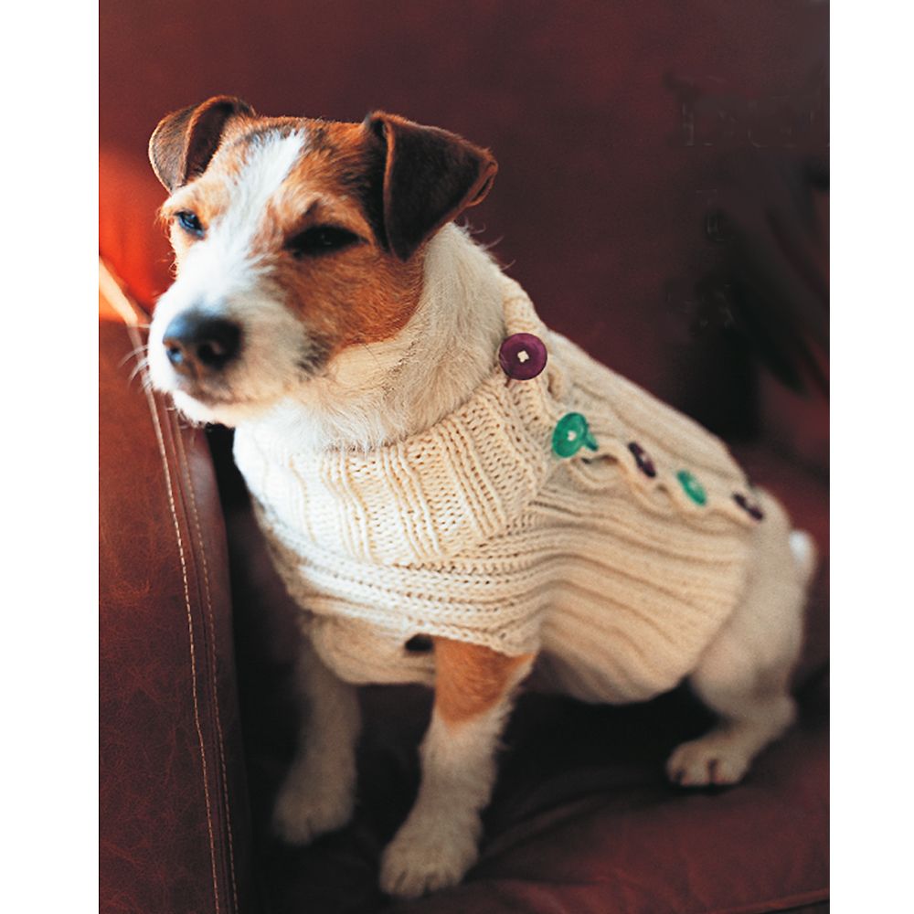 puppy knitted jumper