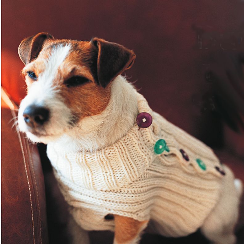 how do you measure a dog for a knitted sweater