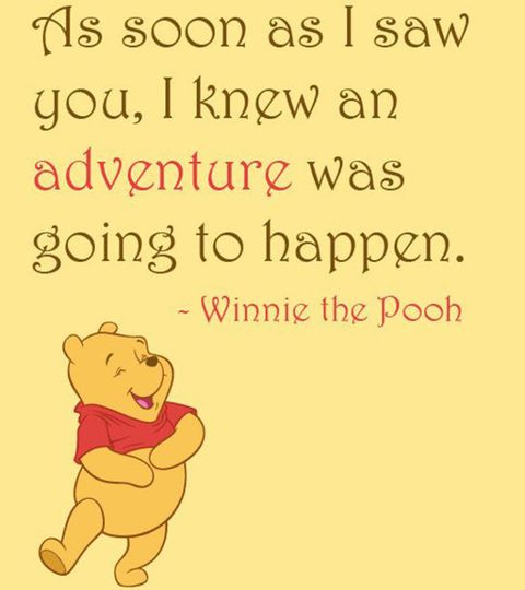 Winnie the Pooh adventure