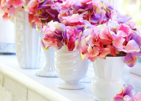 Flowers vases