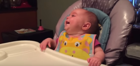 Laughing baby video