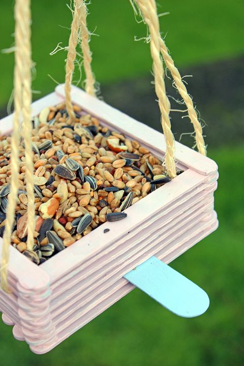 Make Your Own Bird Feeder From Lolly Sticks