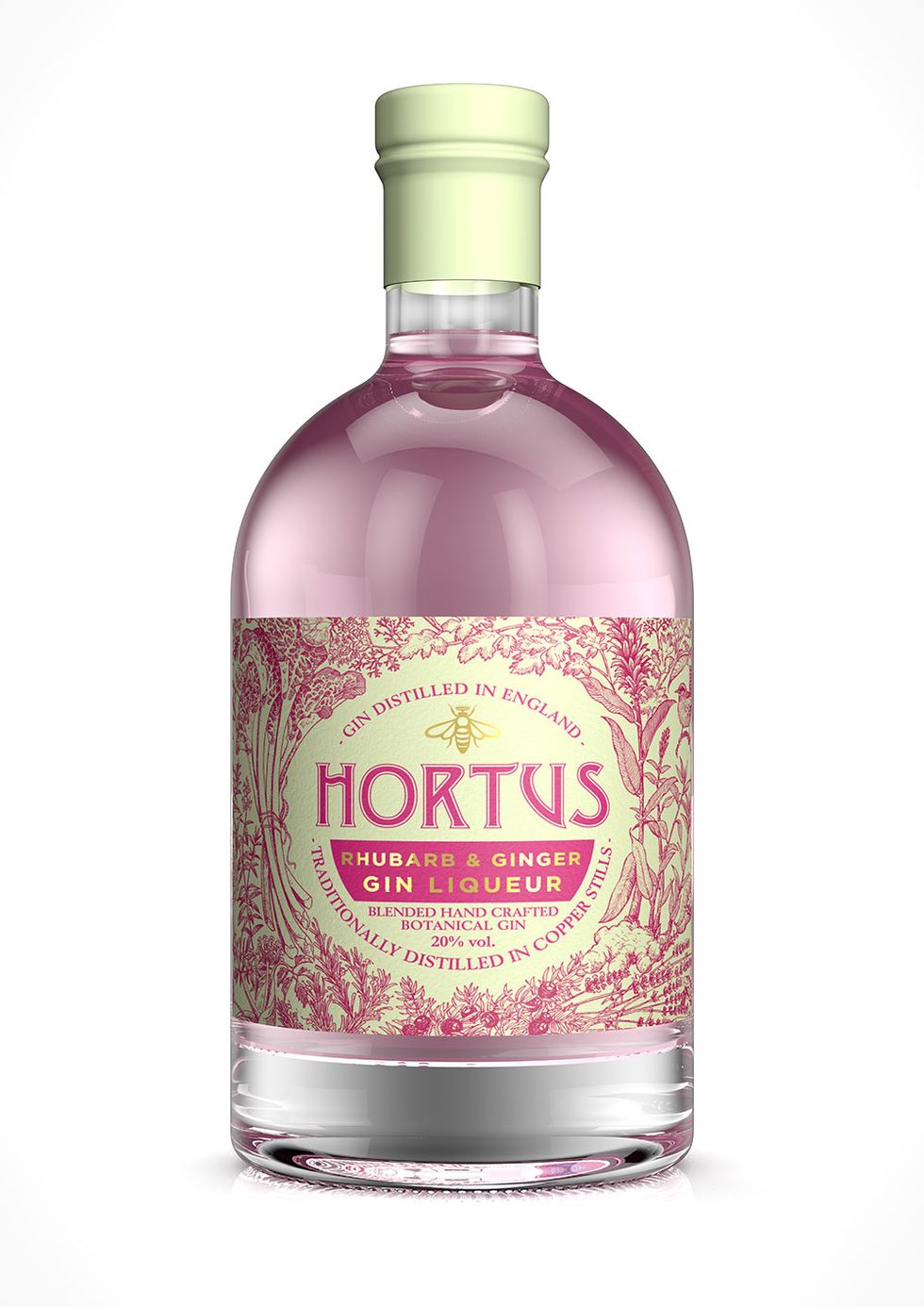 Lidl rhubarb and ginger gin liqueur