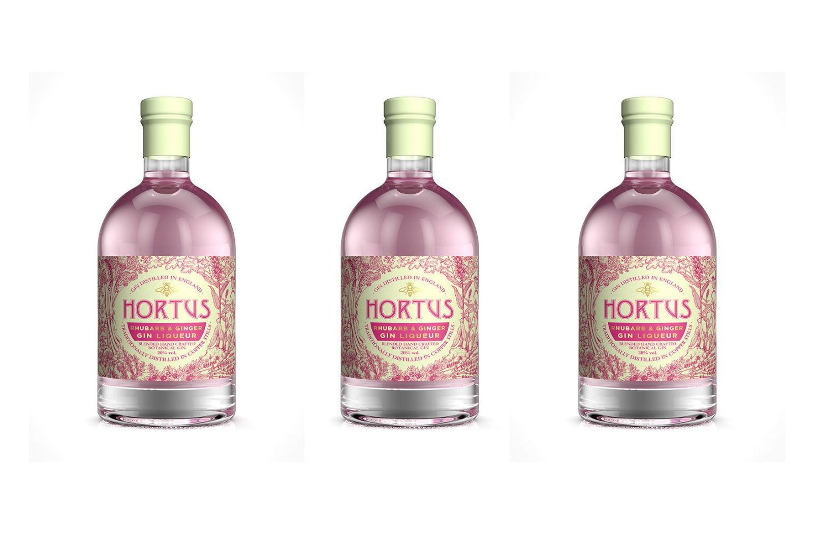 Hortus rhubarb and ginger gin Lidl