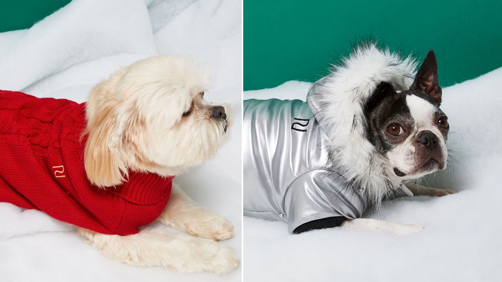 river island dog collection