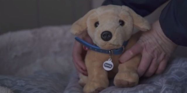 The RSPCA's Christmas Advert Is The Most Emotional One Of The Season