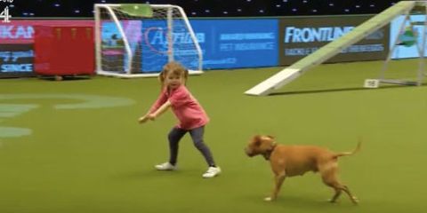 This adorable video of a young girl and her dog competing at Crufts will make your day