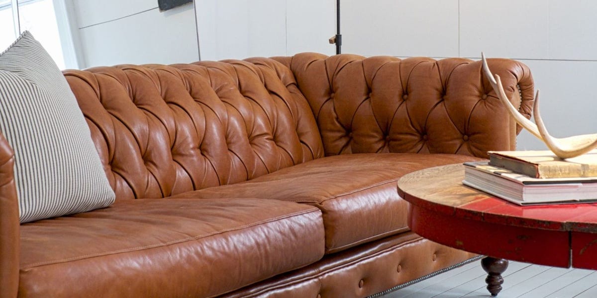Don T A Sofa Until You Read This