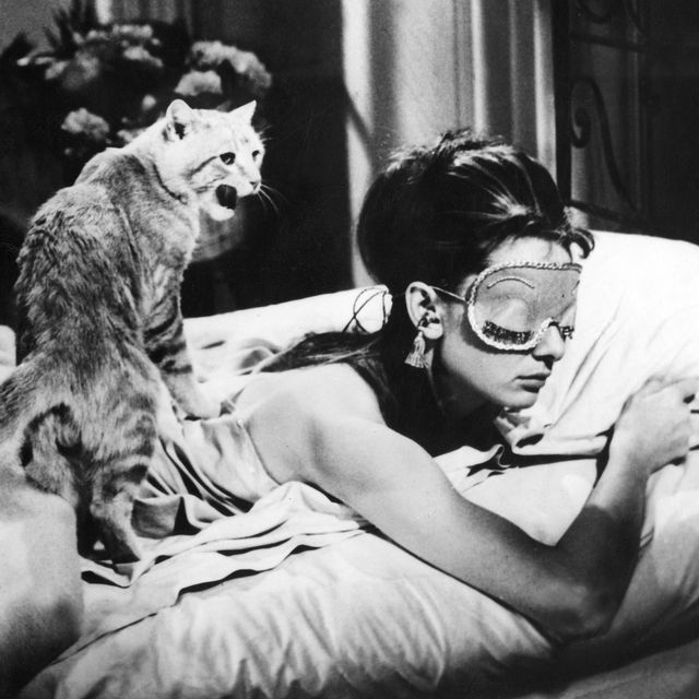 Cat and woman in bed
