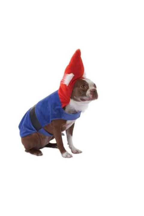 Halloween dog costumes - Halloween Pet costumes image