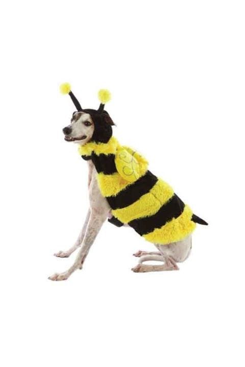 Halloween Dog Costumes - Bumble Bee - Pet Costume Ideas image