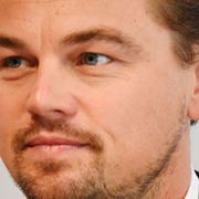 Leonardo DiCaprio has a Swedish lookalike