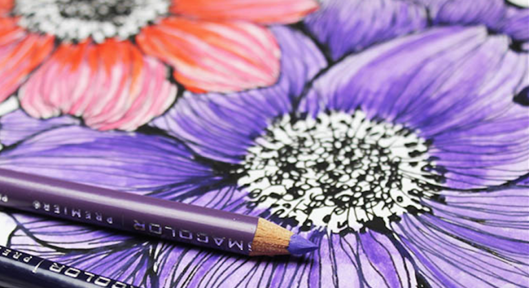 Blue, Petal, Violet, Purple, Flower, Lavender, Colorfulness, Writing implement, Pink, Stationery, 