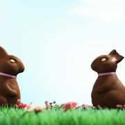 Brown, Terrestrial animal, Rabbits and Hares, Animation, Liver, Snout, Animal figure, Tan, Fawn, Rabbit, 