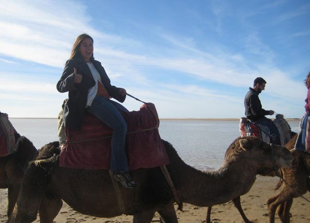 Camel, Human, Mode of transport, Natural environment, Camelid, Vertebrate, Working animal, Landscape, Tourism, Adaptation, 