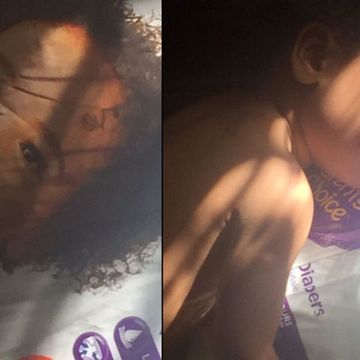 Tess Holliday's Breast-Feeding Selfie Is Causing a Big Dumb Stir
