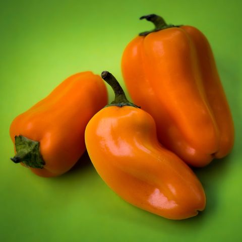 <p>        File this under awesome: "One large bell pepper contains nearly 600 percent of your needs for vitamin C," say Lakatos and Lakatos Shames. "Vitamin C aids in blood circulation to organs and has also been associated with an <a href="http://www.redbookmag.com/love-sex/sex/advice/g717/what-sex-therapists-tell-their-friends/" target="_blank">improved female libido</a>." Note: All bell peppers are a great source of vitamin C, but red peppers rank higher than green, so opt for them if you can.
</p><p><strong data-verified="redactor" data-redactor-tag="strong">RELATED:&nbsp;<a href="http://www.redbookmag.com/love-sex/sex/g3648/shocking-statistics-married-sex/" target="_blank">10 Surprising Realities About Married Sex</a><span class="redactor-invisible-space" data-verified="redactor" data-redactor-tag="span" data-redactor-class="redactor-invisible-space"><a href="http://www.redbookmag.com/love-sex/sex/g3648/shocking-statistics-married-sex/"></a></span></strong><br></p>