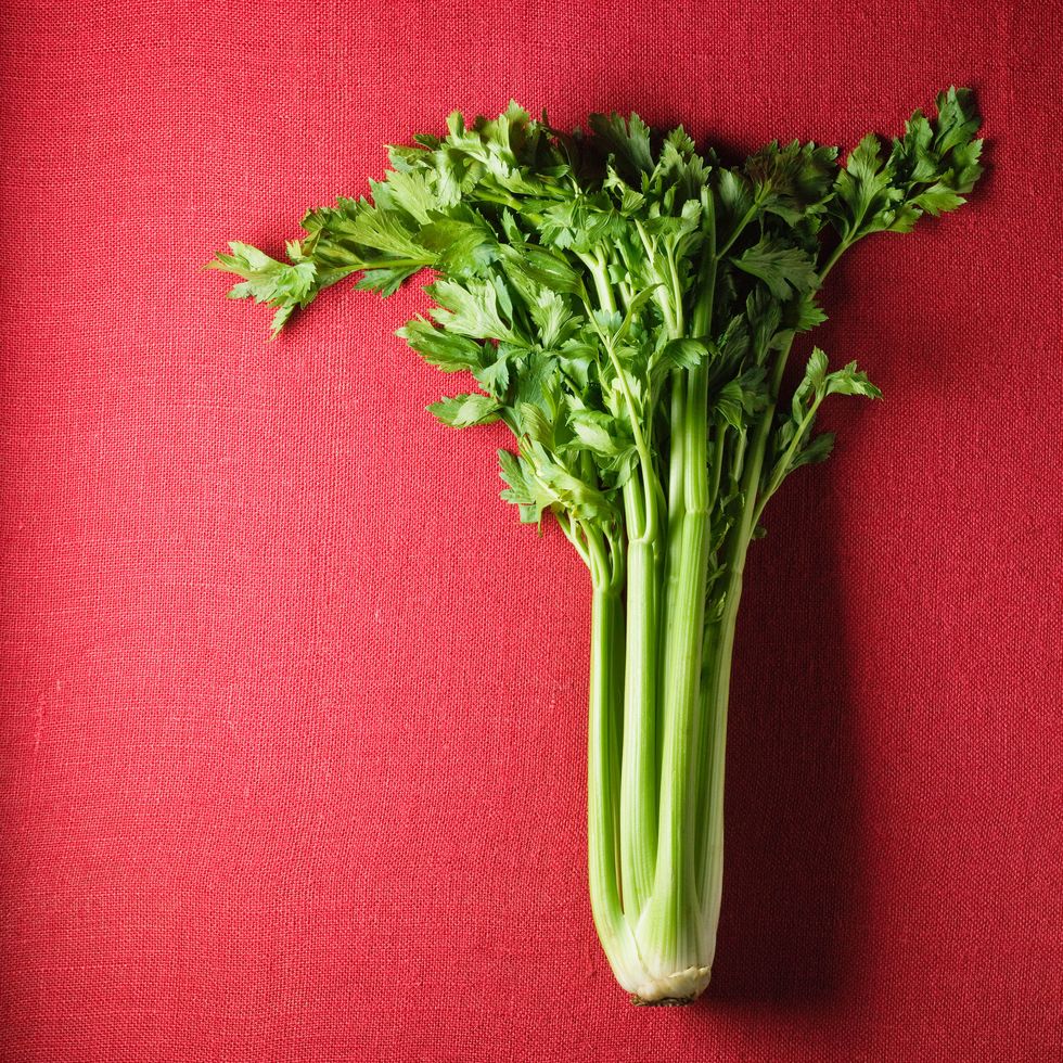 <p>"Celery has an aroma which contains two steroids called androsterone and adrostenol. When we ingest celery, the subtle pheromone of these two natural chemicals travels through our sweat glands and works to attract the opposite sex," explains Rebecca Scritchfield, R.D.N, author of the upcoming book&nbsp;<a href="https://www.amazon.com/Body-Kindness-Transform-Health-Out/dp/0761187294" target="_blank"><i data-redactor-tag="i">Body Kindness</i></a>.  "Celery also contains arginine, which is an amino acid that expands blood vessels the way <a href="http://www.redbookmag.com/love-sex/sex/a37855/viagra-for-women/" target="_blank">Viagra</a> is supposed to do."
</p><p><strong data-verified="redactor" data-redactor-tag="strong">RELATED:&nbsp;<a href="http://www.redbookmag.com/love-sex/sex/advice/g1273/sex-drive-killers/" target="_blank">8 Weird Things That Are Killing Your Sex Drive</a><span class="redactor-invisible-space" data-verified="redactor" data-redactor-tag="span" data-redactor-class="redactor-invisible-space"><a href="http://www.redbookmag.com/love-sex/sex/advice/g1273/sex-drive-killers/"></a></span></strong><br></p>
