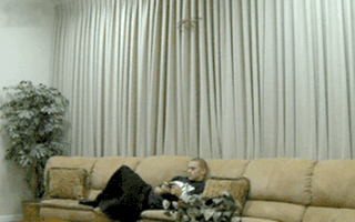 scared of spider