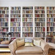 Room, Interior design, Shelf, Wood, Shelving, Wall, Publication, Furniture, Couch, Bookcase, 