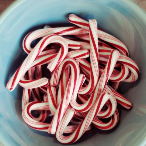 <p>It's like an Easter Egg Hunt but with, you know, candy canes.&nbsp;</p><p><strong data-redactor-tag="strong" data-verified="redactor">See more at&nbsp;<a href="http://www.littlefamilyfun.com/2012/12/candy-cane-hunt.html" target="_blank" data-tracking-id="recirc-text-link">Little Family Fun</a>.&nbsp;</strong></p>