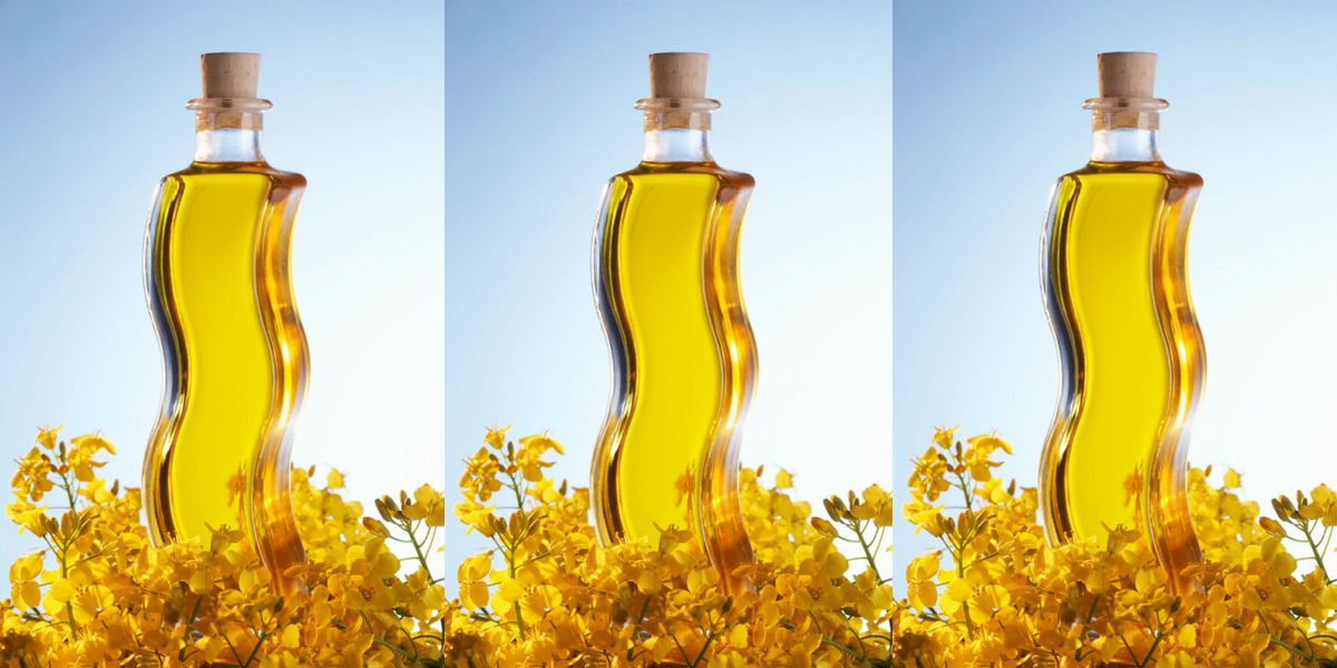 canola oil might burn belly fat