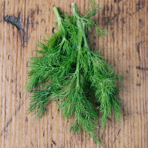 <p>"Dill is a <a href="http://www.redbookmag.com/body/healthy-eating/g3808/lesser-known-nutrients-your-body-needs/" target="_blank" data-tracking-id="recirc-text-link">surprising source of calcium</a>, which can be a huge help in reducing the pain from menstrual cramps. Since dairy sources of calcium can trigger cramps, non-dairy sources like dill can be surprisingly helpful," says <a href="http://www.thewellnecessities.com/" data-tracking-id="recirc-text-link" target="_blank">The WellNecessities</a>' founder Lisa Hayim, R.D. Use the vibrant herb to garnish soups and salads or roast with fish and sliced lemon wedges.</p>