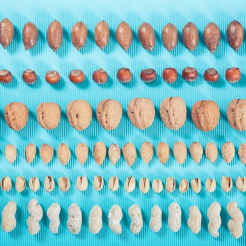 Teal, Peach, Turquoise, Finger food, Circle, Natural material, Baking, Cooking, Kitchen utensil, 