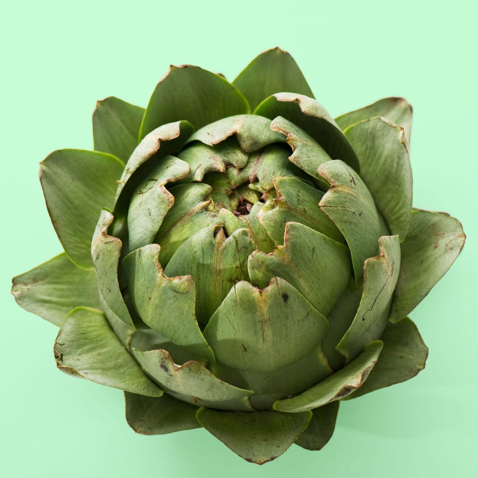 Artichoke, Flower, Plant, Cynara, Botany, Flowering plant, Terrestrial plant, Daisy family, Food,