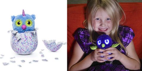 Purple, Violet, Toy, Lavender, Bangs, Magenta, Serveware, Stuffed toy, Bird, Bird of prey, 