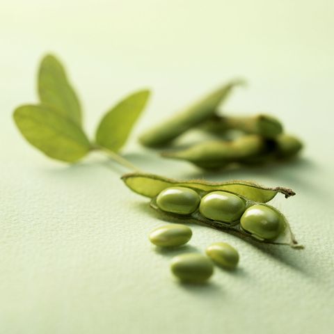 <p>Like tofu, edamame — AKA mature soybeans — offers up a huge amount of protein at 17 grams per cup. And the best part? They make a filling snack: Just boil them up, sprinkle on some sea salt, and enjoy. It's that easy.</p><p><strong data-verified="redactor" data-redactor-tag="strong">RELATED:&nbsp;<a href="http://www.redbookmag.com/body/healthy-eating/advice/g772/foods-that-reduce-bloating/" target="_blank" data-tracking-id="recirc-text-link">31 Foods That Banish Bloat Once and for All</a><span class="redactor-invisible-space"><a href="http://www.redbookmag.com/body/healthy-eating/advice/g772/foods-that-reduce-bloating/"></a></span></strong><br></p>