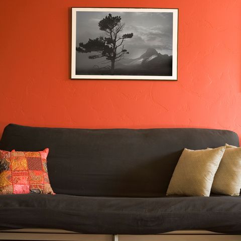 Furniture, Wall, Wall sticker, Room, Orange, Modern art, Sofa bed, Couch, Cushion, Leaf, 