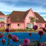 Pink, House, Home, Property, Flower, Building, Real estate, Plant, Sky, Spring, 