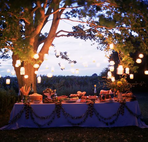 Lighting, Light, Evening, Tree, Branch, Event, Tints and shades, Landscape, Ceremony, World, 