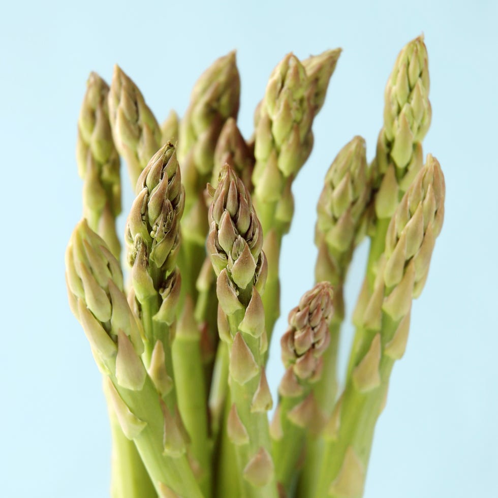 high protein foods high protein foods