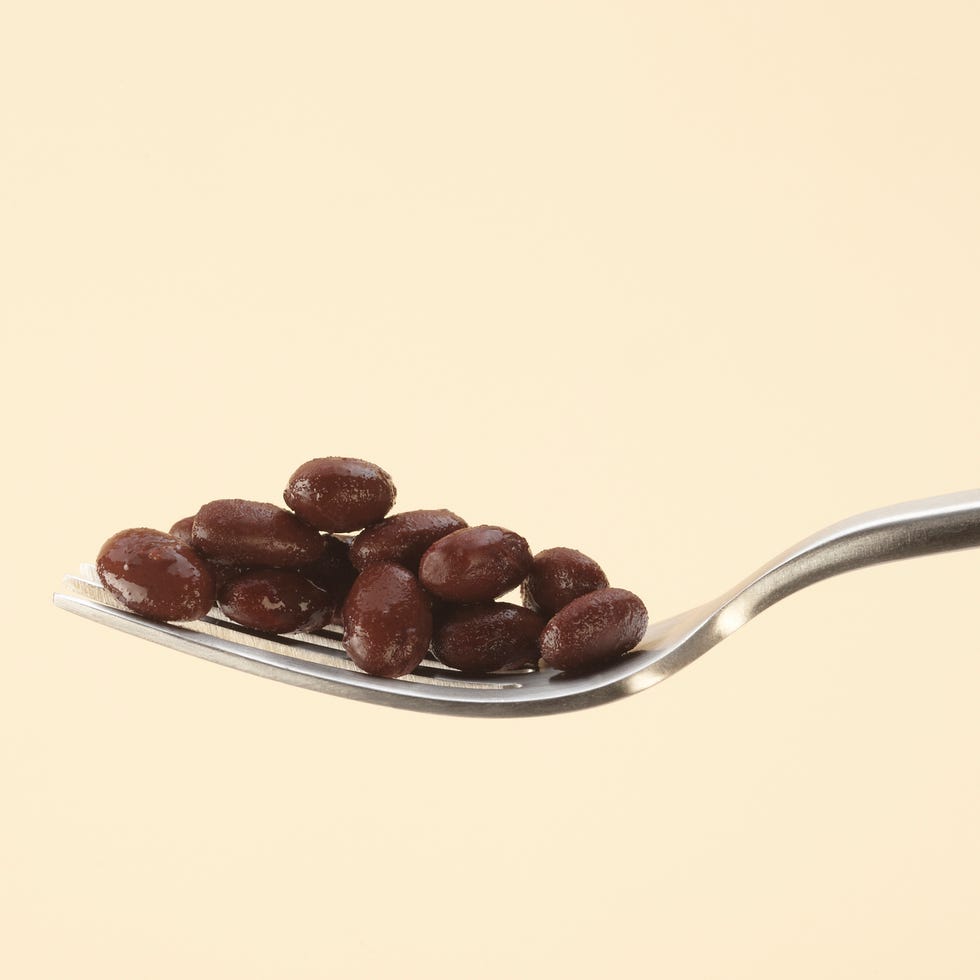 high protein foods high protein foods