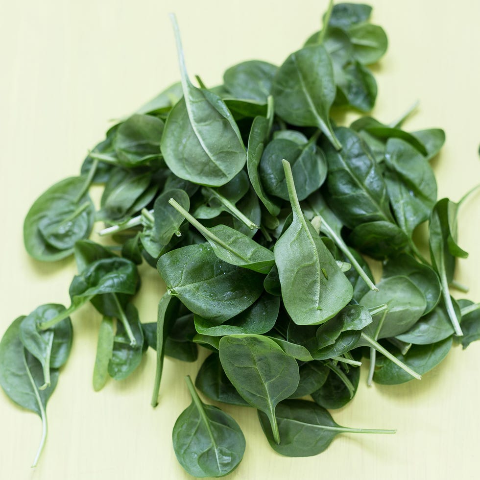 high protein foods high protein foods