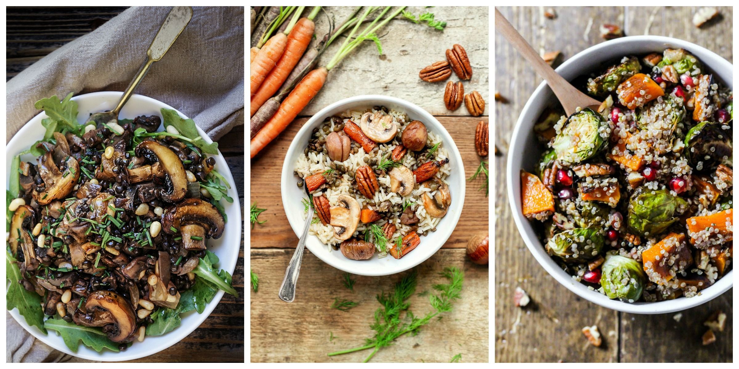 17 Colorful, Comforting Fall Salads to Make ThisSeason advise 17 Colorful, Comforting Fall Salads to Make ThisSeason forecast